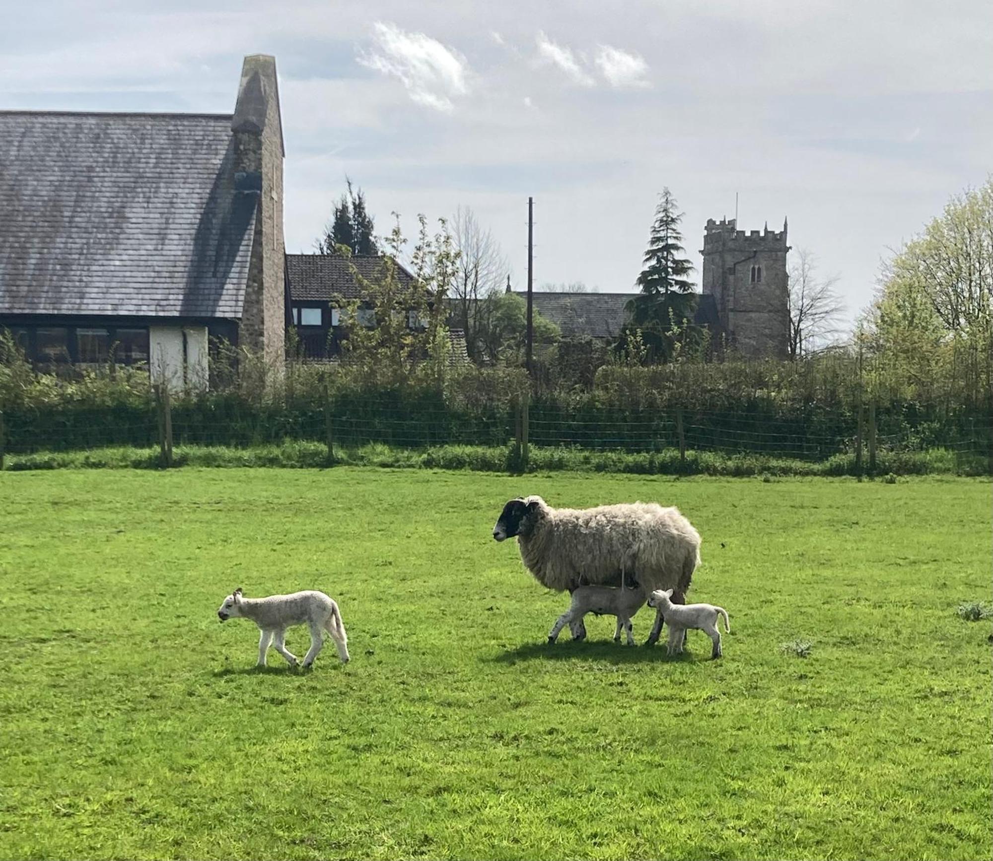 The Byre *